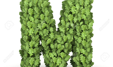 GreenOak grows with Related partnership