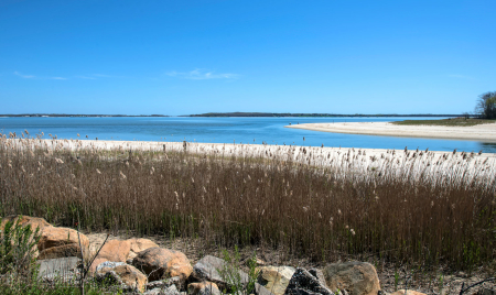 Brooklyn on the North Fork