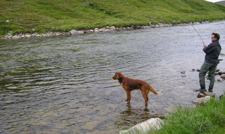 Is the $38M Price Right? Financier Michael Price Lists Security-Heavy Townhouse