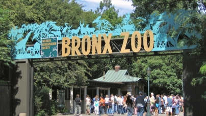Six Affordable Units Up For Grabs Near the Bronx Zoo, Starting at $956/Month