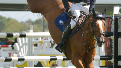 IN PICTURES: Real estate at the Hampton Classic