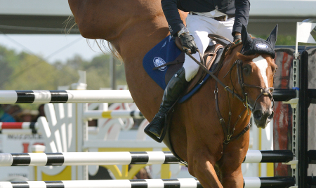 IN PICTURES: Real estate at the Hampton Classic