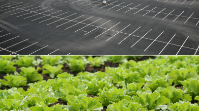 Sustainability efforts transforming commercial office buildings