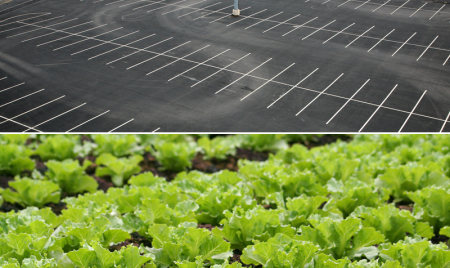 Sustainability efforts transforming commercial office buildings