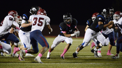 Perelman enlists Streisand as chair of new WTC arts complex